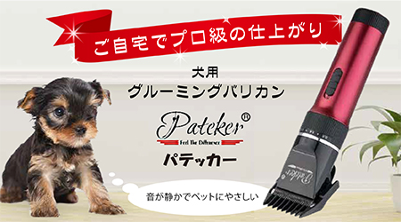 Pateker Authorized distributor